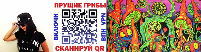 Псилоцибиновые грибы Psilocybine cubensis  Купить где  Крымск 